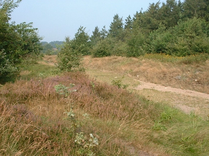 Barger Heide Foto Barger Heide © Hansestadt Stade