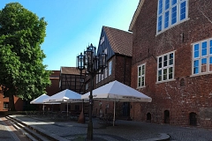 Panorama - Rathaus-Kastanie Panorama-Aufnahme der Kastanie hinter dem Stader Rathaus