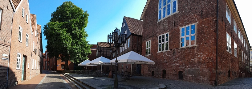Panorama-Aufnahme der Kastanie hinter dem Stader Rathaus